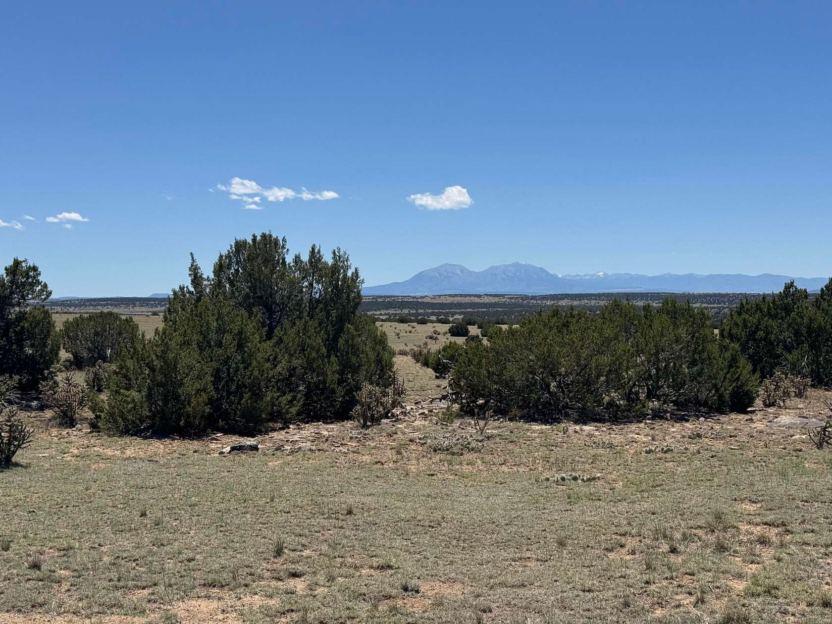 39 Acres of Land for Sale in Walsenburg, Colorado