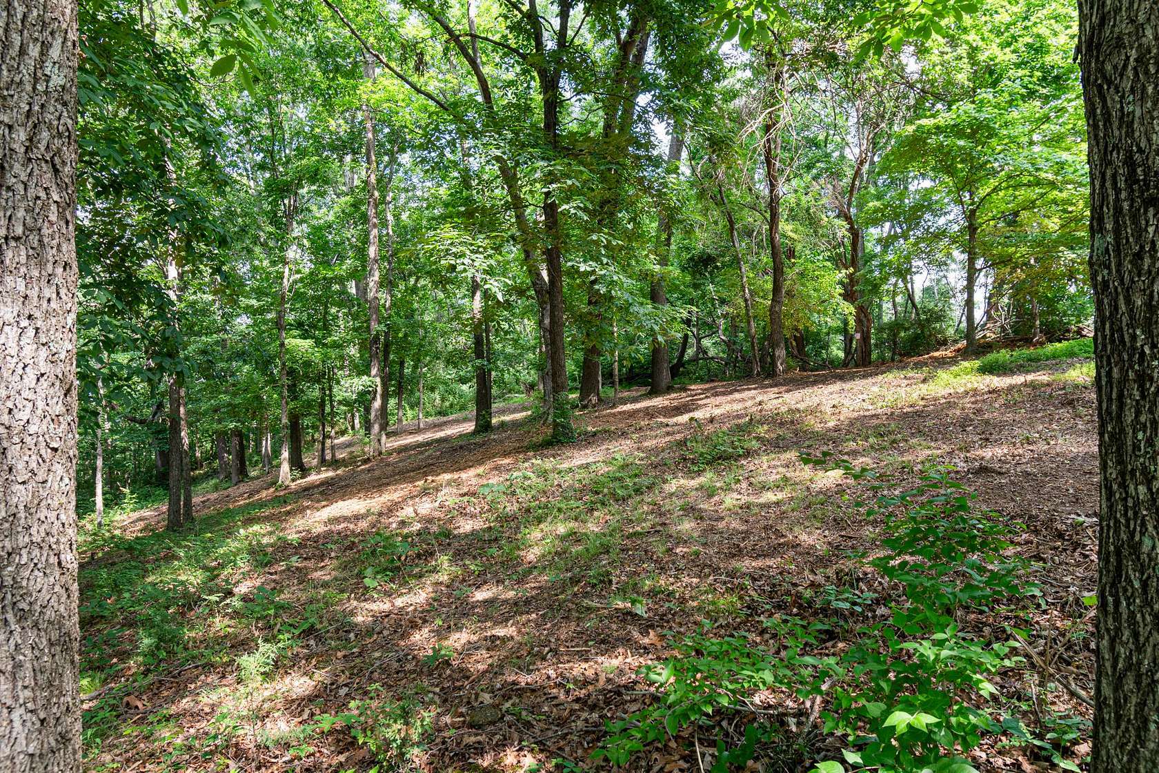 5 Acres of Residential Land for Sale in Nashville, Tennessee
