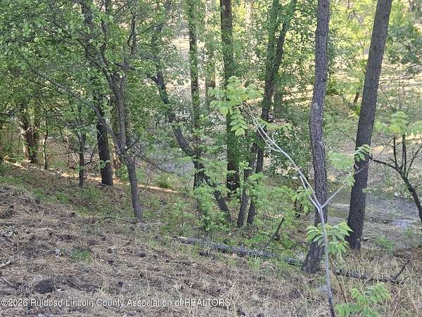 0.05 Acres of Residential Land for Sale in Ruidoso, New Mexico