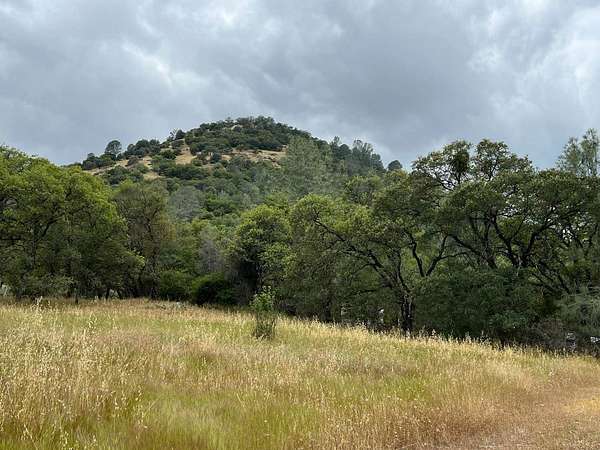 13.8 Acres of Land for Sale in Angels Camp, California