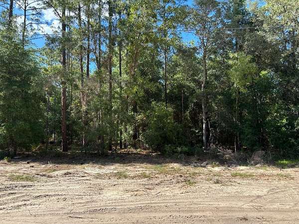 1.16 Acres of Residential Land for Sale in Dunnellon, Florida