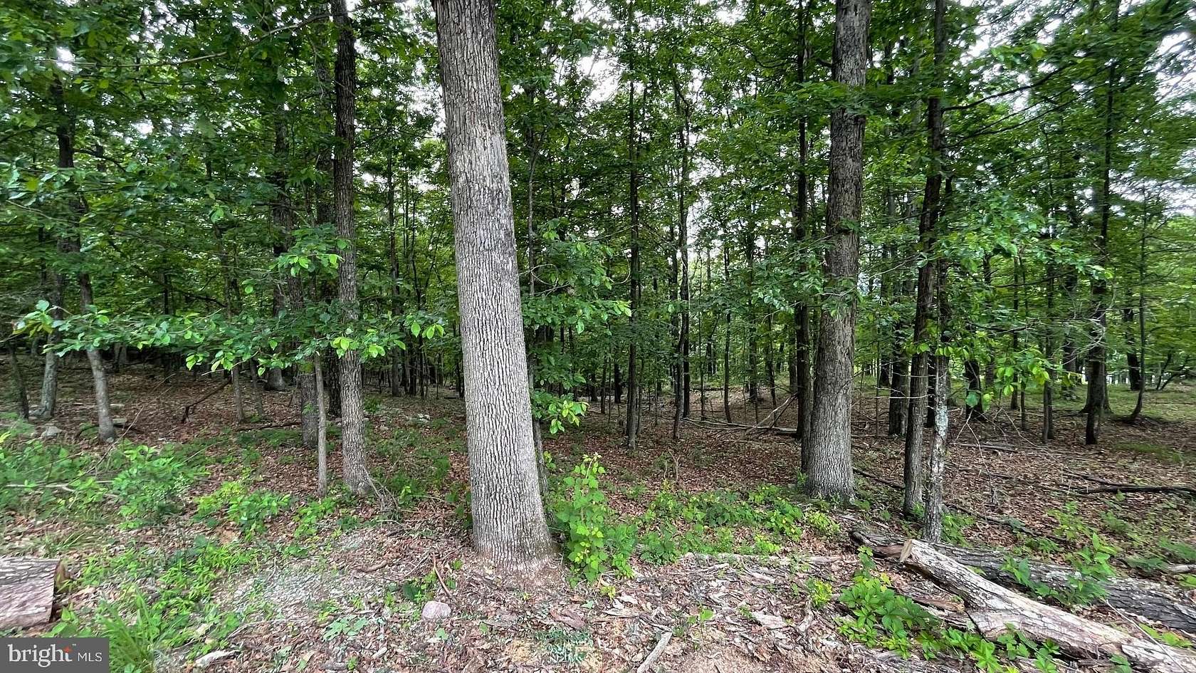 6 Acres of Residential Land for Sale in Slanesville, West Virginia