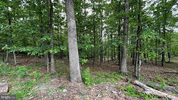6 Acres of Residential Land for Sale in Slanesville, West Virginia