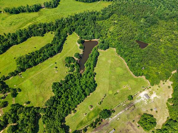 20 Acres of Land for Sale in Poplarville, Mississippi
