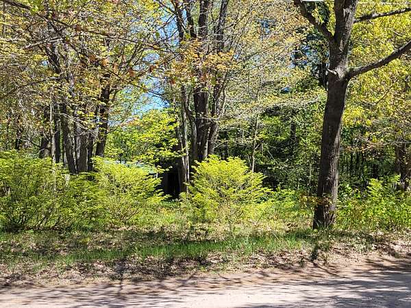 Residential Land for Sale in Sault Ste. Marie, Michigan