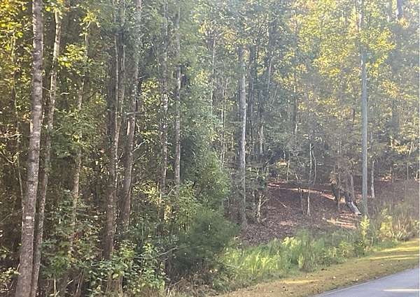 0.83 Acres of Residential Land for Sale in Sparta, Georgia