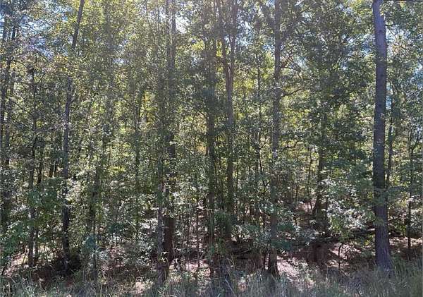 0.83 Acres of Residential Land for Sale in Sparta, Georgia
