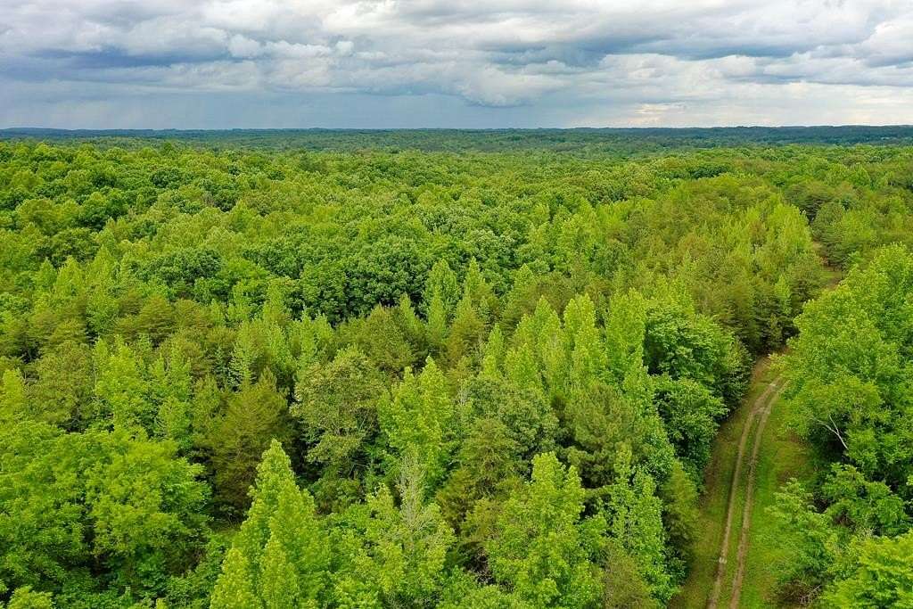47.2 Acres of Land for Sale in Nathalie, Virginia