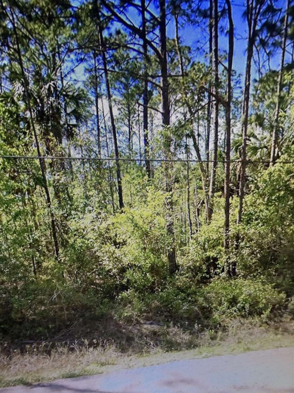 0.3 Acres of Land for Sale in Bunnell, Florida