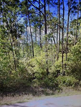 0.3 Acres of Land for Sale in Bunnell, Florida