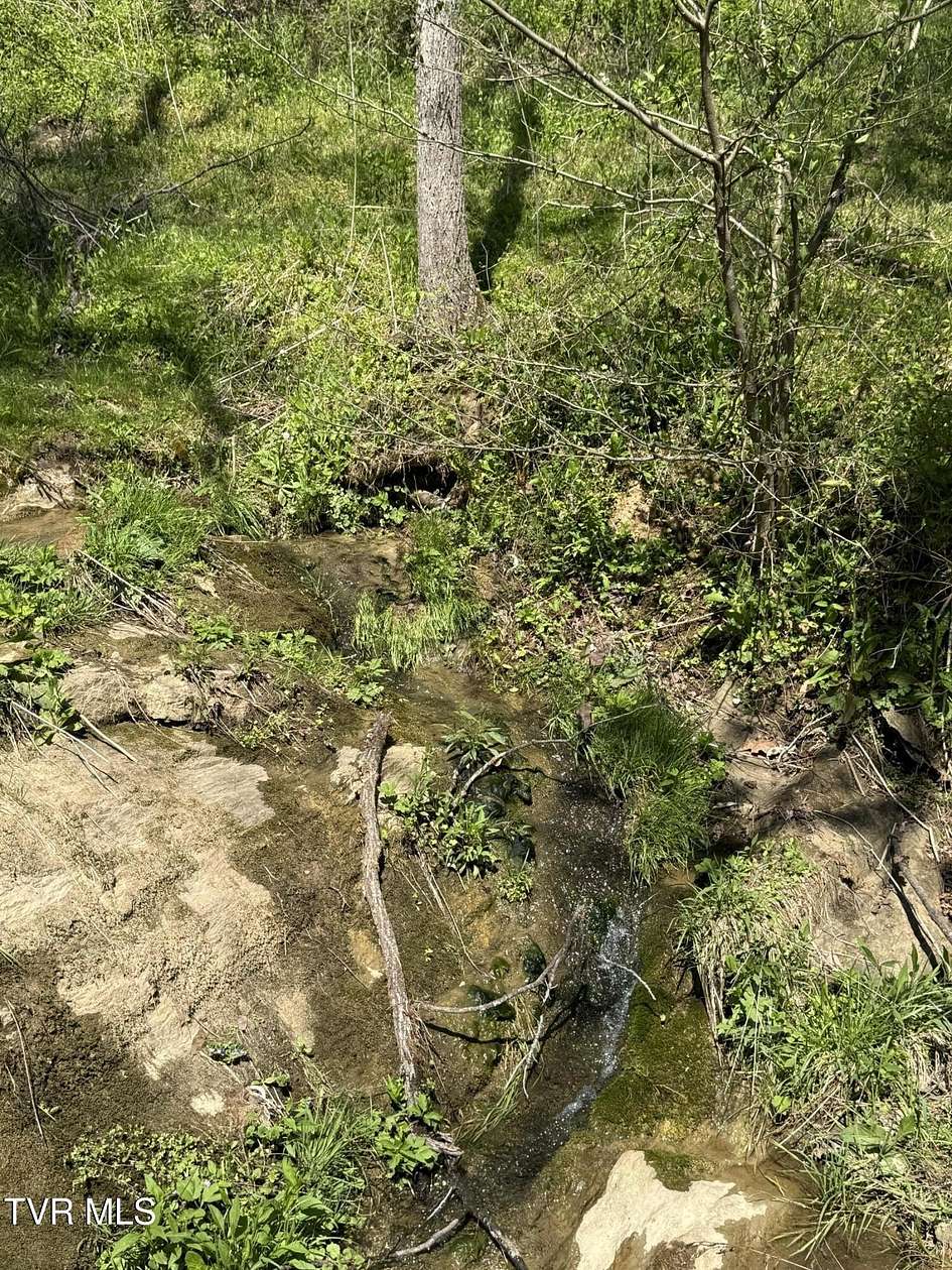 64 Acres of Recreational Land for Sale in Church Hill, Tennessee