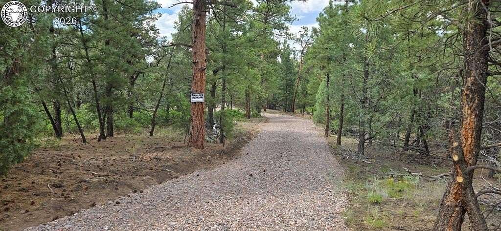5.52 Acres of Residential Land for Sale in Cotopaxi, Colorado