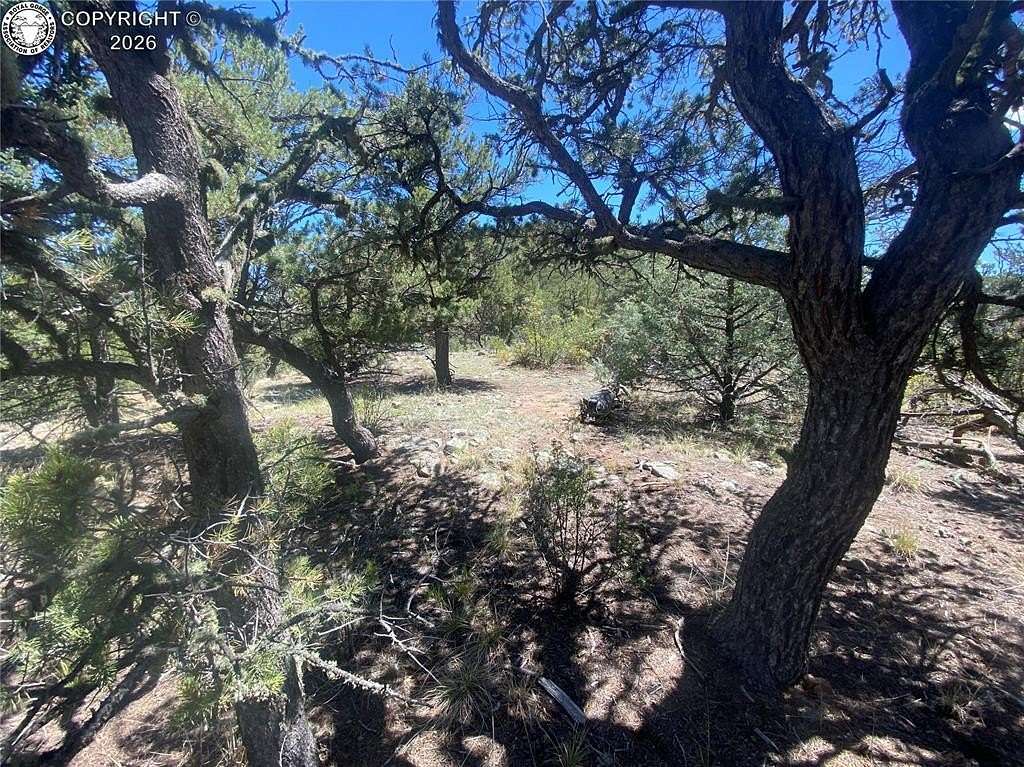 2.62 Acres of Residential Land for Sale in Cotopaxi, Colorado