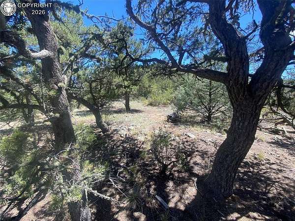 2.62 Acres of Residential Land for Sale in Cotopaxi, Colorado