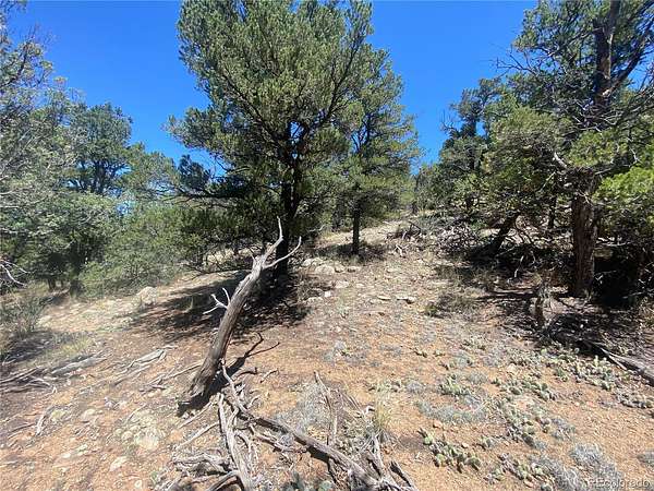 2.62 Acres of Residential Land for Sale in Cotopaxi, Colorado