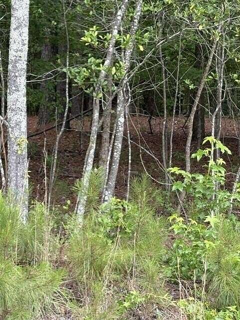 7 Acres of Land for Sale in Elko, South Carolina