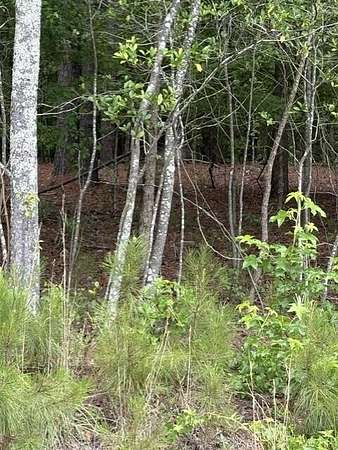 7 Acres of Land for Sale in Elko, South Carolina