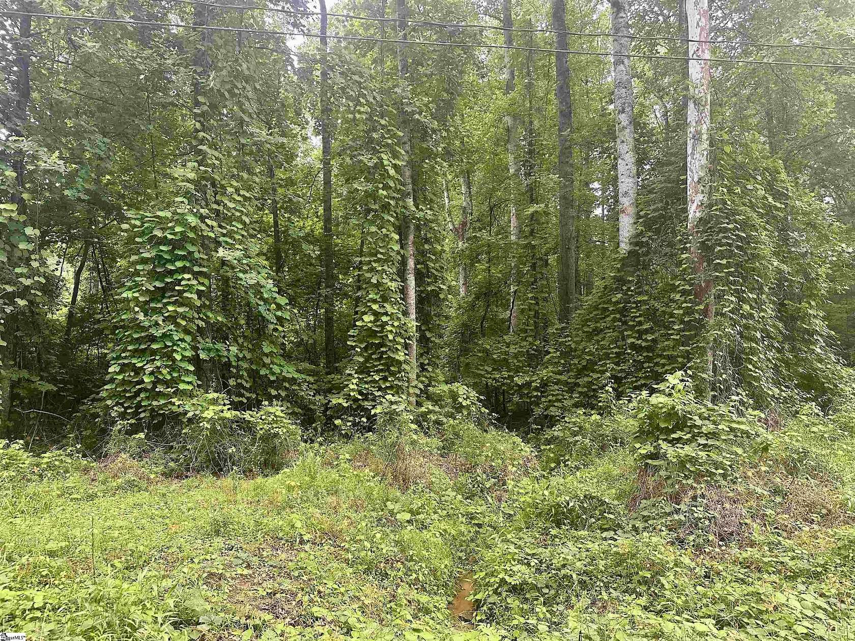 0.96 Acres of Residential Land for Sale in Marietta, South Carolina