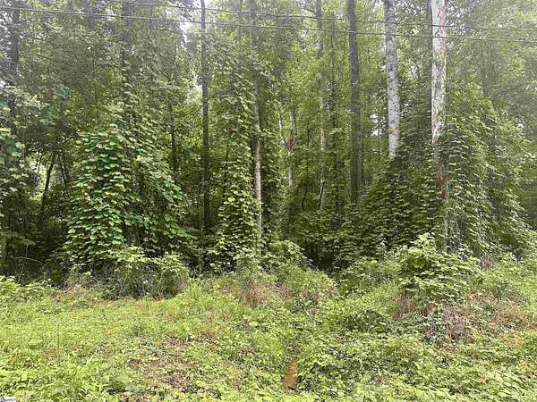 0.96 Acres of Residential Land for Sale in Marietta, South Carolina