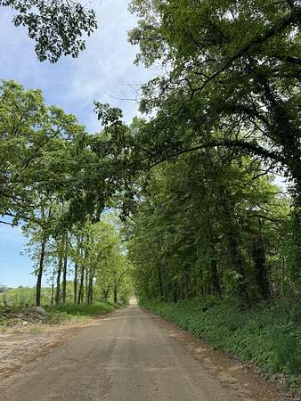 30 Acres of Recreational Land for Sale in Homer, Michigan