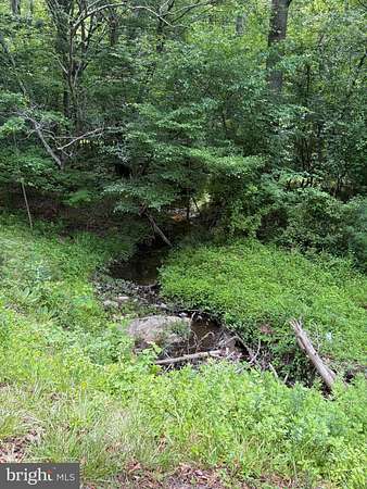 4.1 Acres of Residential Land for Sale in Locust Grove, Virginia