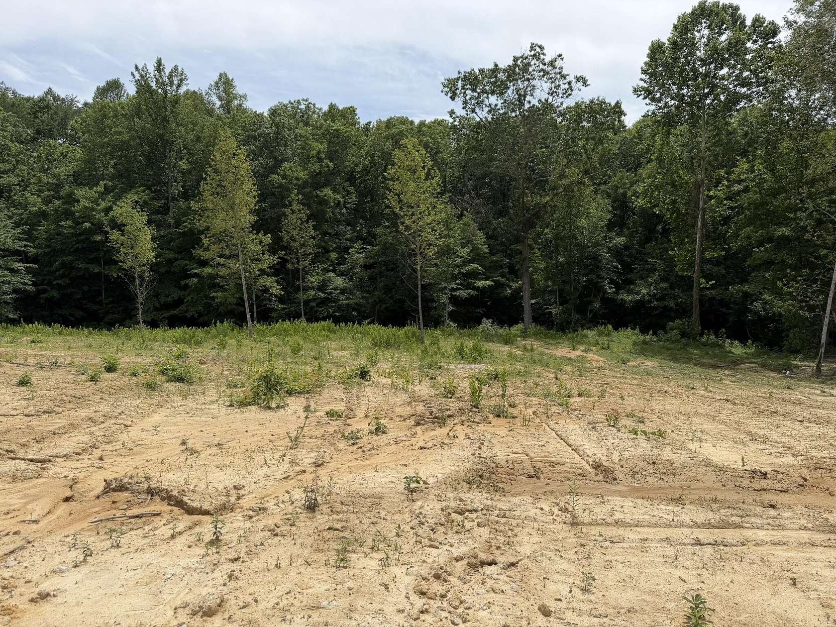 1 Acre of Residential Land for Sale in Irvine, Kentucky