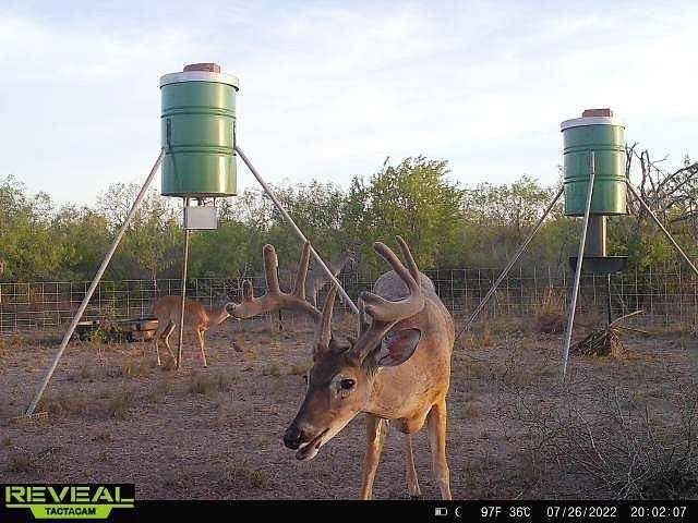 10.2 Acres of Recreational Land for Sale in San Diego, Texas