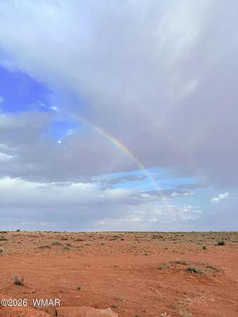 40.9 Acres of Recreational & Residential Land for Sale in Holbrook, Arizona