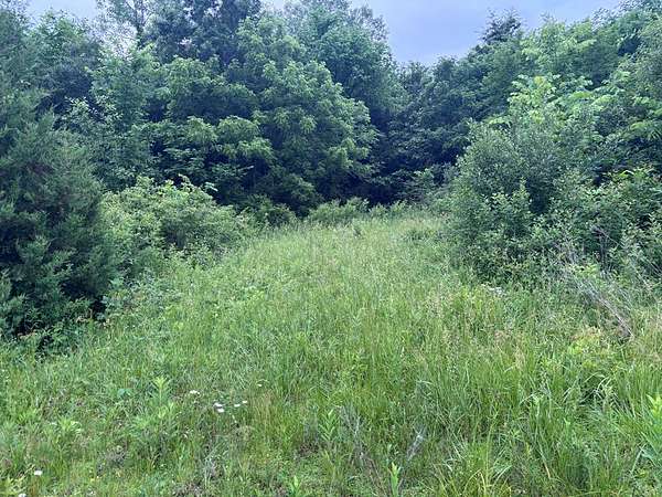 101 Acres of Land for Sale in Bucklin, Missouri