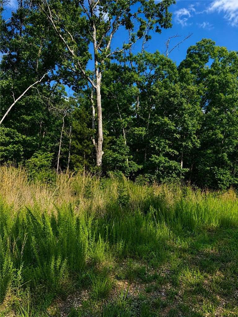 0.25 Acres of Residential Land for Sale in Bella Vista, Arkansas
