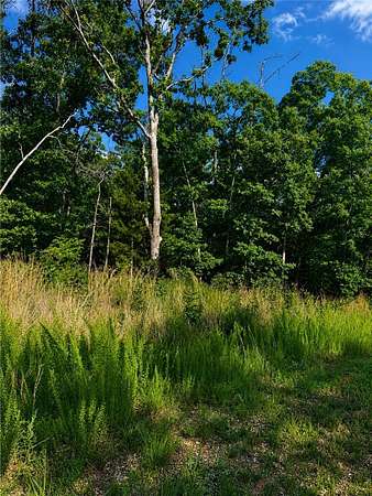 0.25 Acres of Residential Land for Sale in Bella Vista, Arkansas