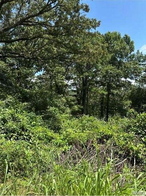 0.12 Acres of Residential Land for Sale in Van Buren, Missouri