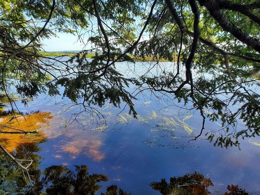 4.1 Acres of Land for Sale in Mariaville, Maine