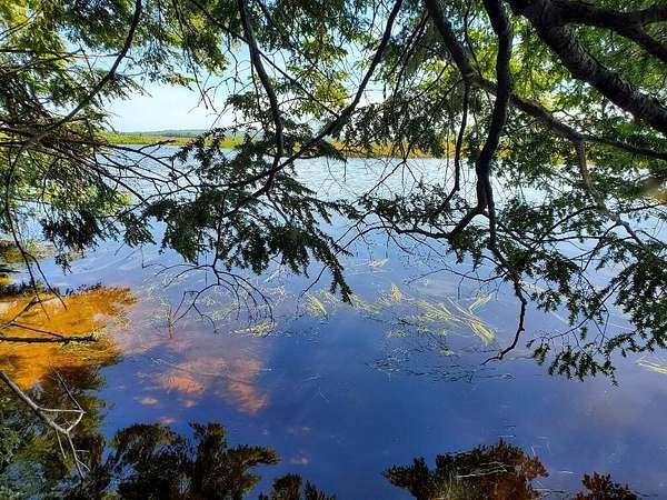 4.1 Acres of Land for Sale in Mariaville, Maine