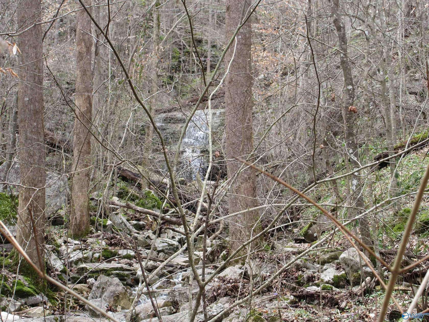 40 Acres of Recreational Land for Sale in Fackler, Alabama