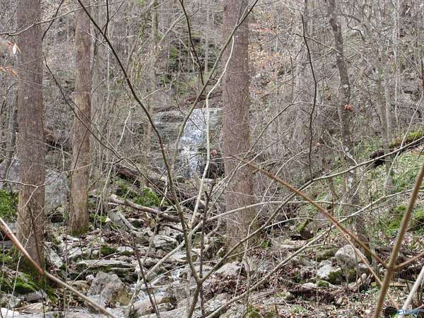 40 Acres of Recreational Land for Sale in Fackler, Alabama