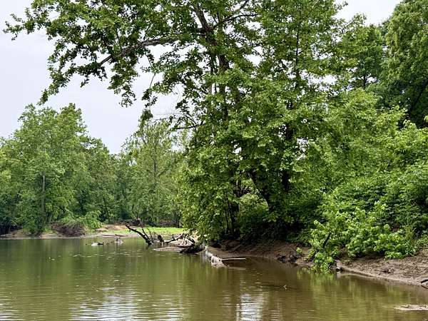 24 Acres of Recreational Land for Sale in Houston, Missouri