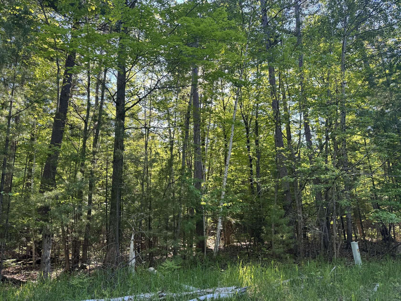 0.53 Acres of Residential Land for Sale in Indian River, Michigan