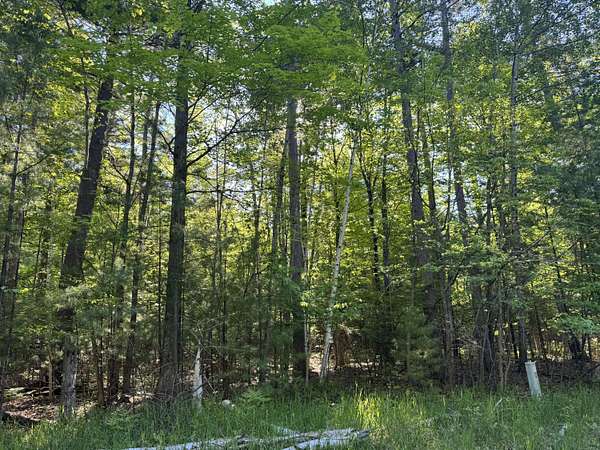 0.53 Acres of Residential Land for Sale in Indian River, Michigan