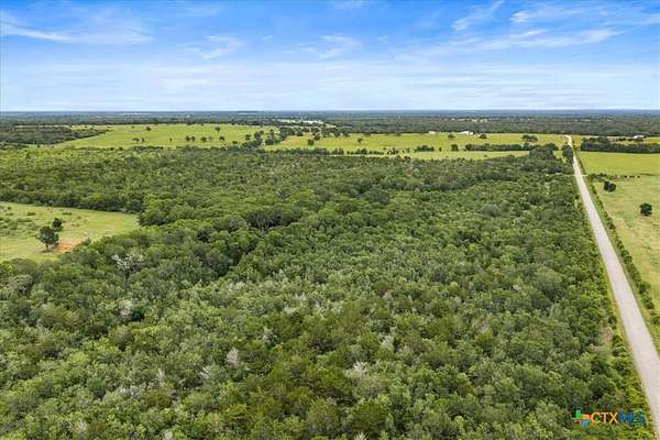 87.6 Acres of Recreational & Residential Land for Sale in Waelder, Texas