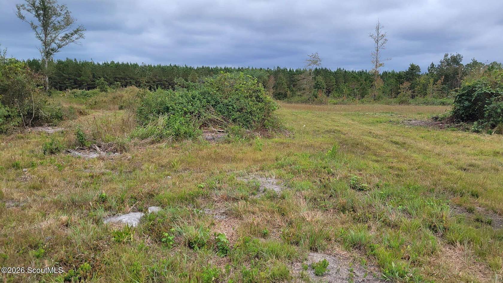 15.9 Acres of Land for Sale in Jesup, Georgia