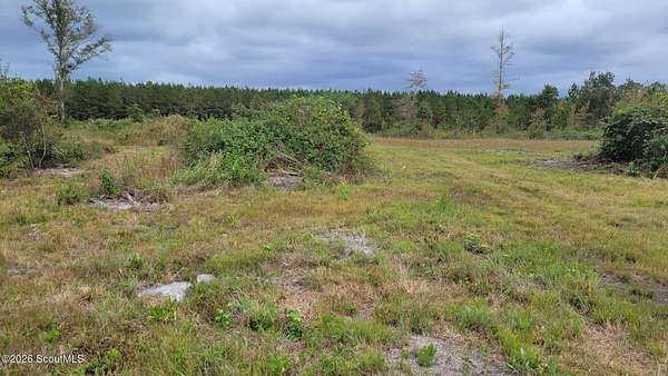 15.9 Acres of Land for Sale in Jesup, Georgia
