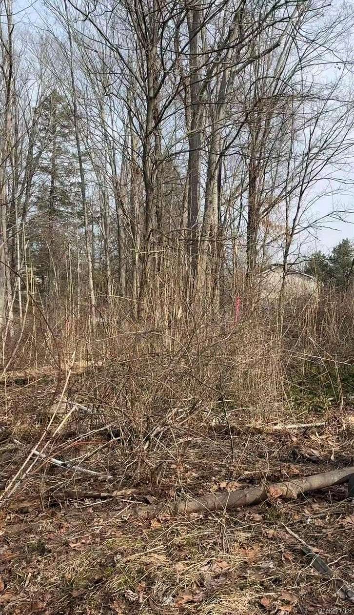 0.44 Acres of Land for Sale in Mahopac, New York