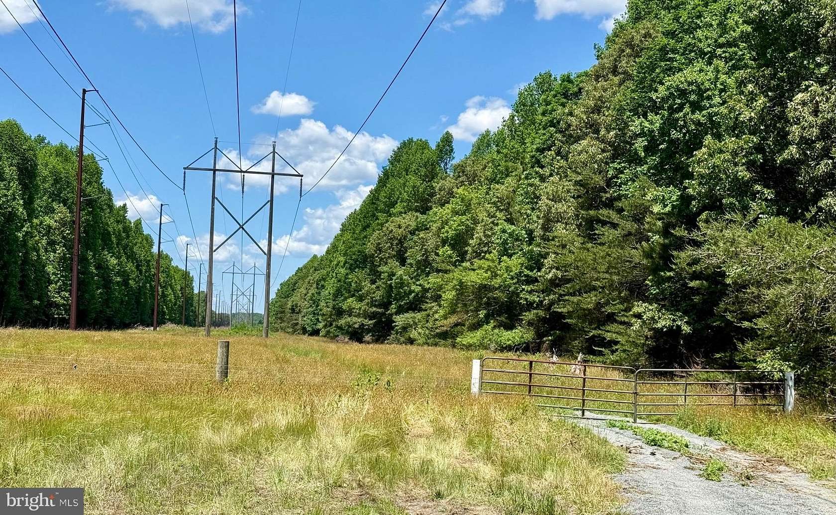 42 Acres of Recreational & Residential Land for Sale in Lincoln, Delaware