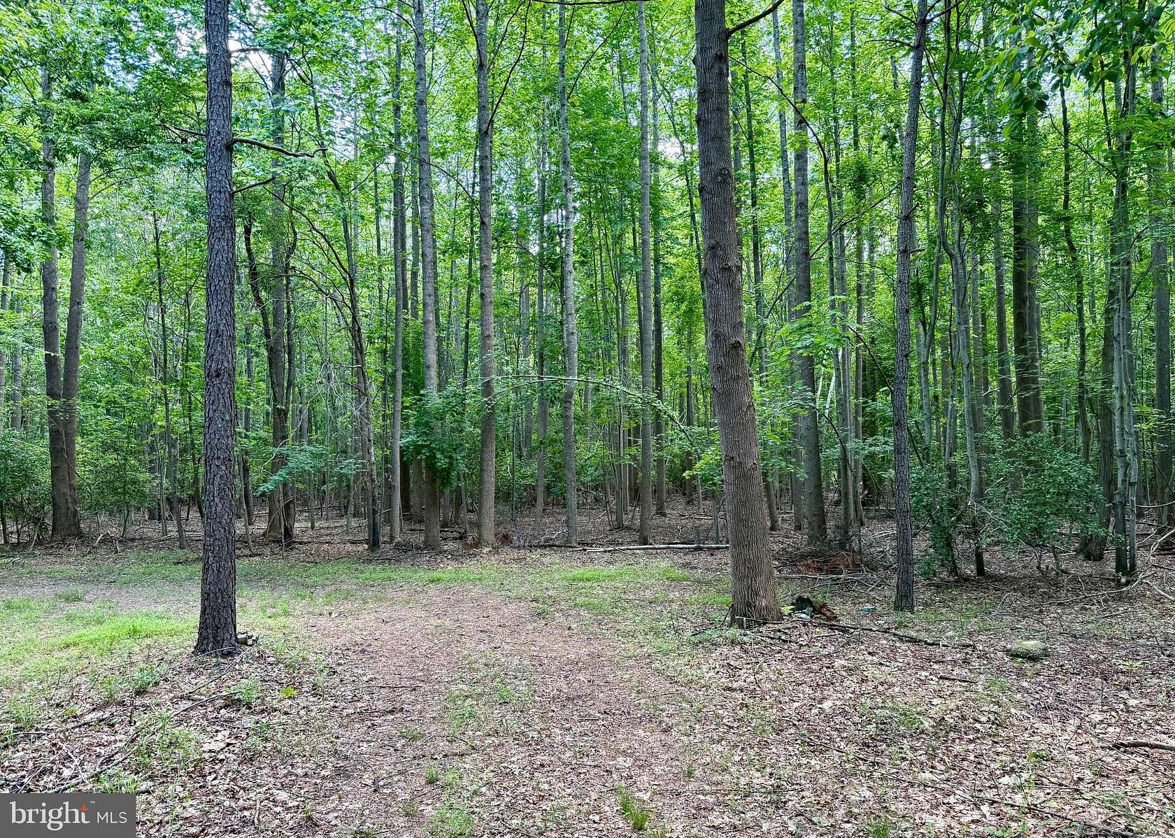 42 Acres of Recreational & Residential Land for Sale in Lincoln, Delaware
