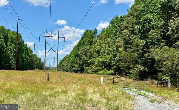 42 Acres of Recreational & Residential Land for Sale in Lincoln, Delaware