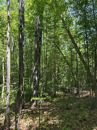 124 Acres of Recreational Land for Sale in Andersonville, Virginia