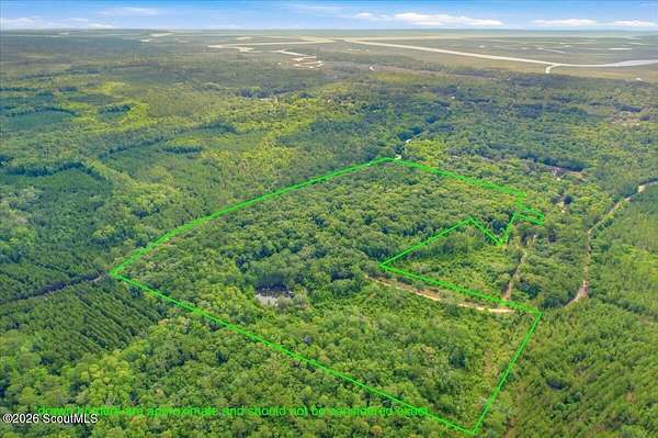 35 Acres of Recreational & Residential Land for Sale in Darien, Georgia