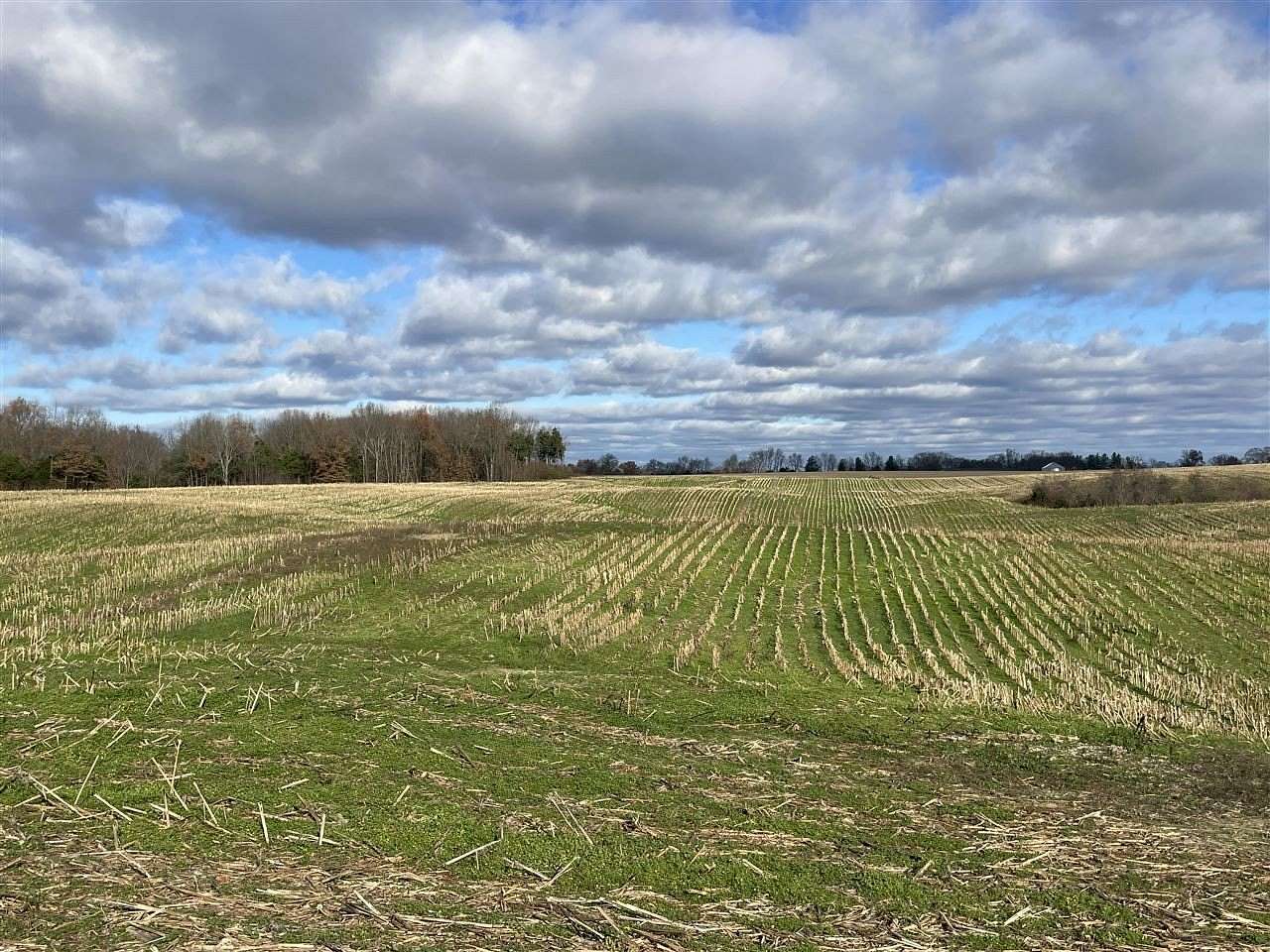 88.8 Acres of Agricultural & Residential Land for Sale in Bowling Green, Kentucky