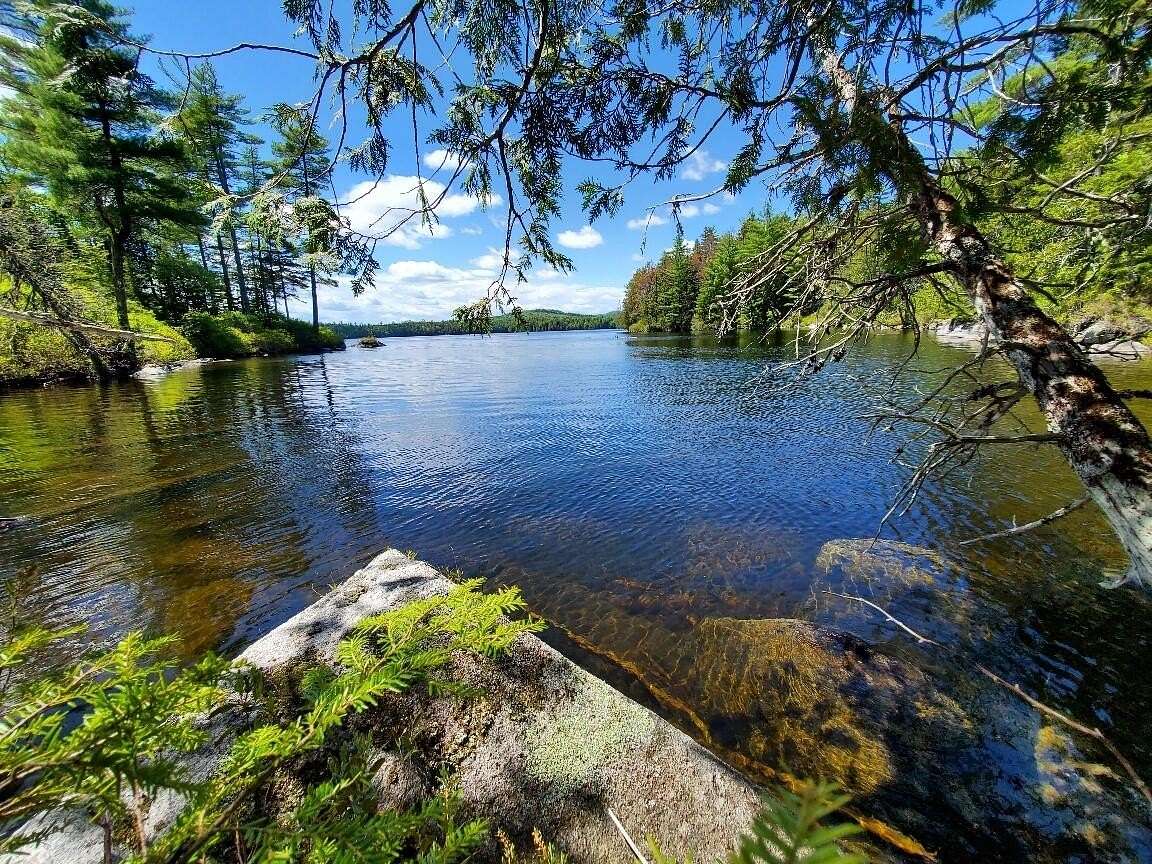 23.7 Acres of Recreational & Residential Land for Sale in Beddington, Maine